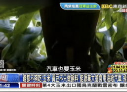 弱智娱乐节目