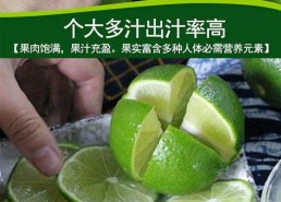 香水柠檬,探寻香水的自然魅力