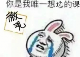 王小锤 搞笑,笑料百出，欢乐无限