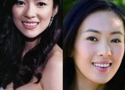 娱乐圈有趣撞脸,那些让人笑出声的相似面孔