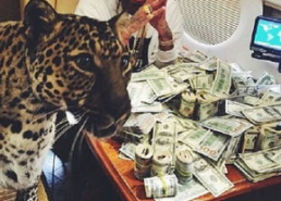 墨西哥毒贩 女主播,揭秘网络毒品交易的隐秘世界