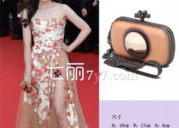 明星晚宴包,明星晚宴包揭秘璀璨之夜