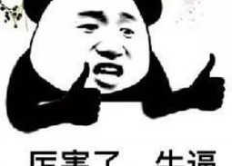 中台表情包,趣味横生的职场社交新宠